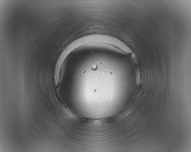 X0000063460382200602101721