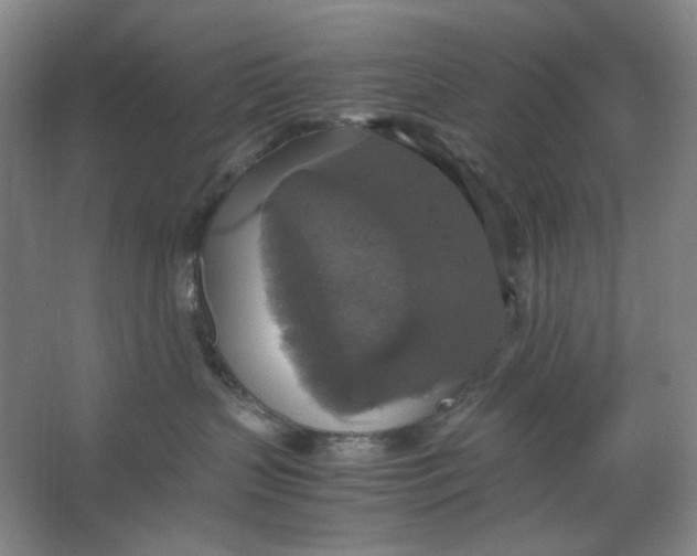 X0000063460383200602101721