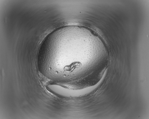X0000063460385200602101720