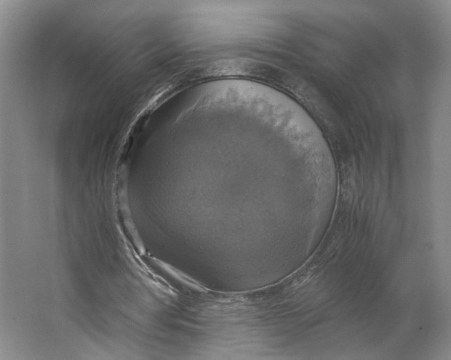X0000063460386200602101720