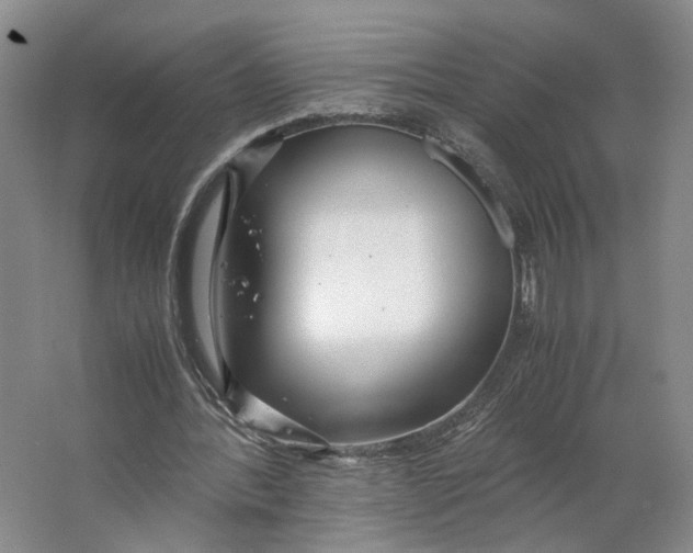 X0000063460388200602101720