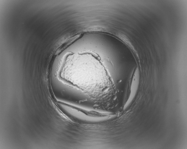 X0000063460389200602101720