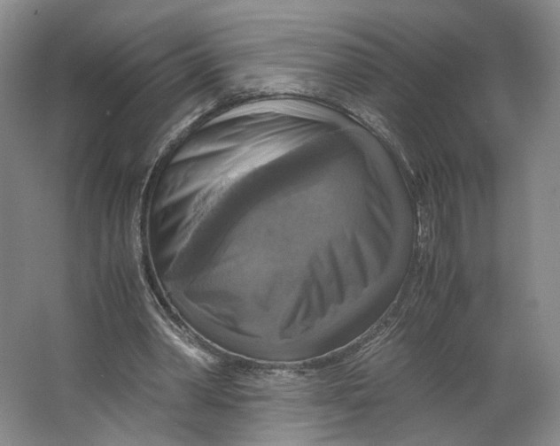 X0000063460390200602101720