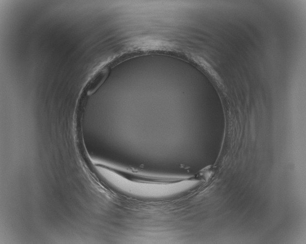 X0000063460391200602101720