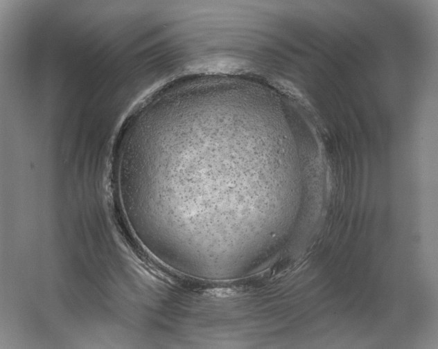 X0000063460392200602101720