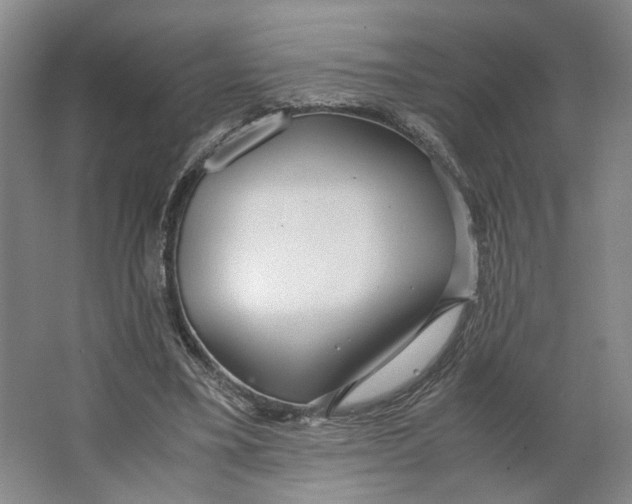 X0000063460395200602101720