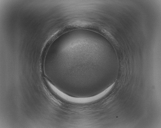 X0000063460399200602101720