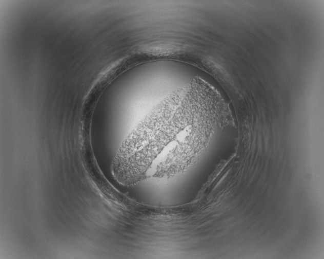 X0000063460400200602101720