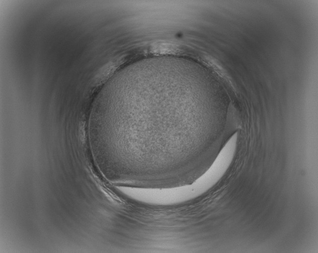 X0000063460401200602101720