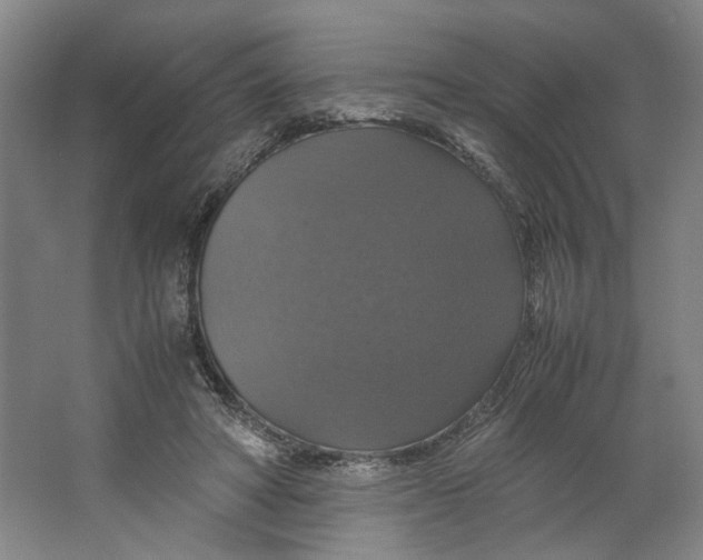 X0000063460402200602101720