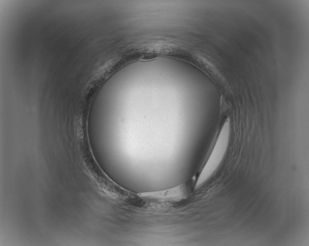 X0000063460403200602101720