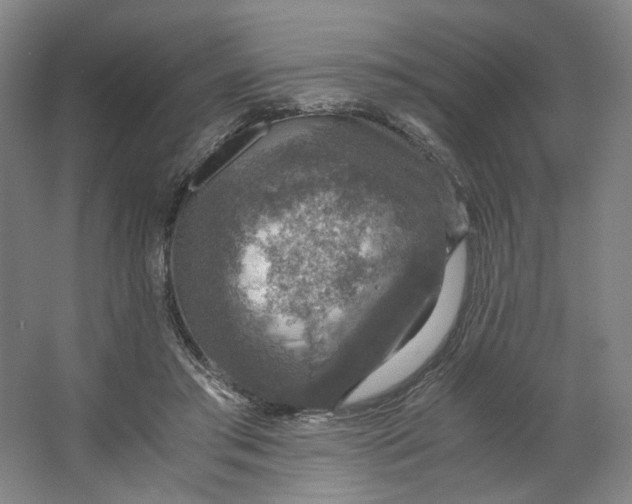 X0000063460405200602101720