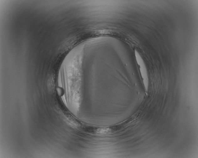 X0000063460410200602101719