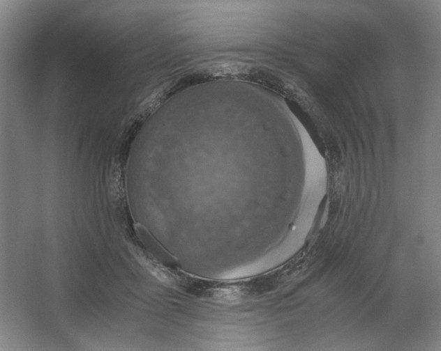 X0000063460411200602101719