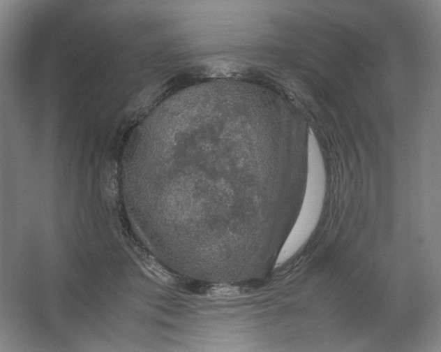 X0000063460413200602101719