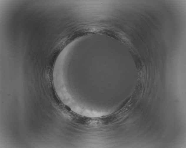 X0000063460415200602101719