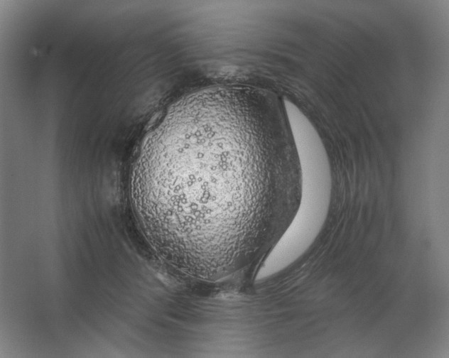 X0000063460416200602101719