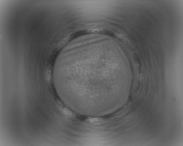 X0000063460417200602101719