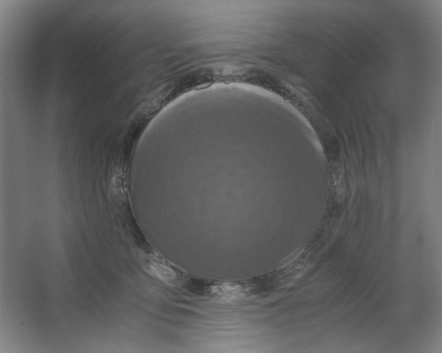 X0000063460419200602101719
