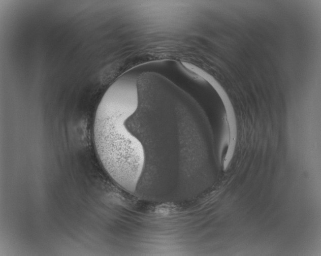 X0000063460420200602101719