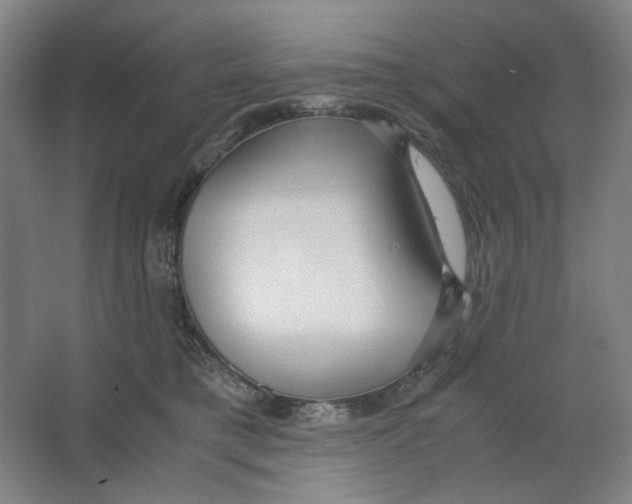 X0000063460421200602101719
