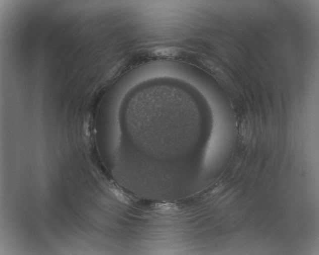 X0000063460424200602101719