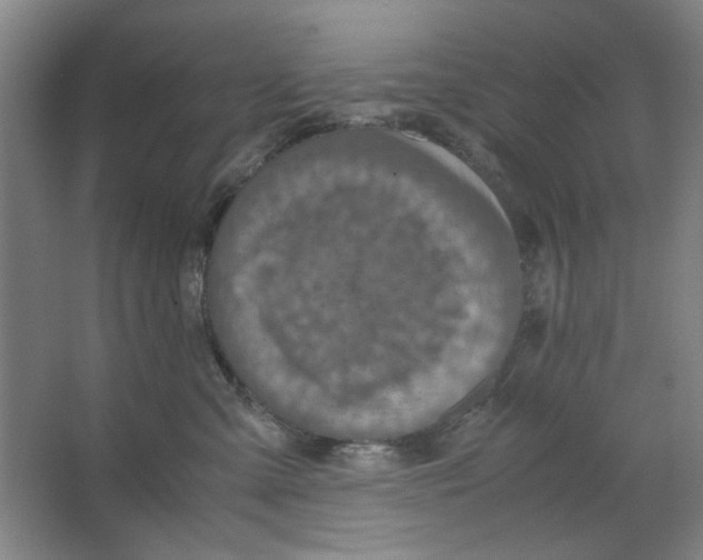 X0000063460427200602101719