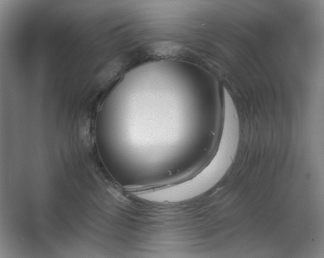 X0000063460428200602101719