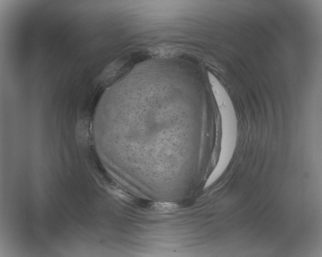 X0000063460429200602101719