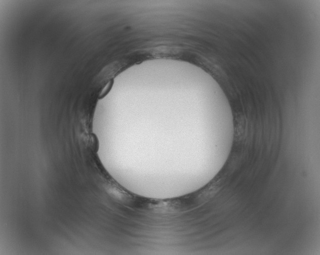 X0000063460430200602101719