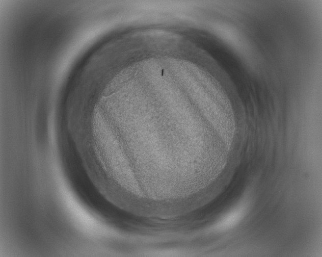X0000063460431200602101719