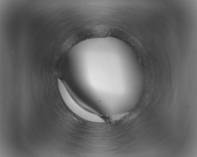 X0000063460432200602101719
