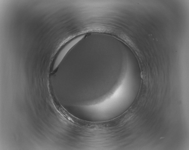 X0000063460434200602101718