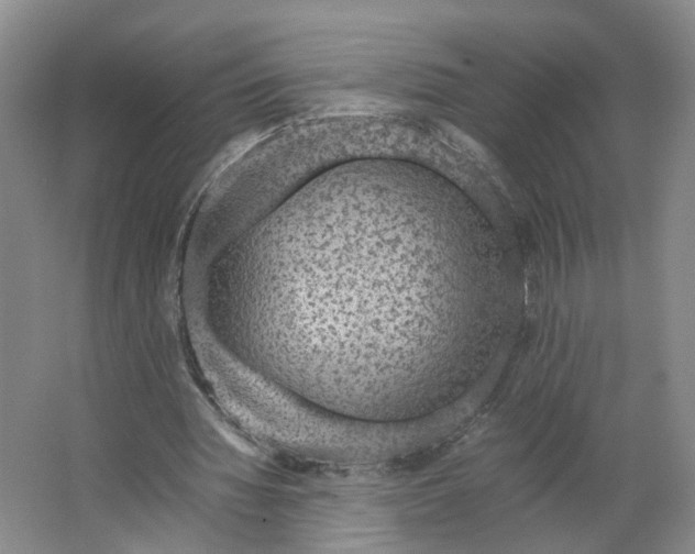 X0000063460436200602101718