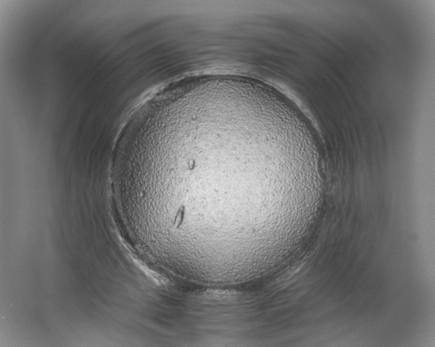 X0000063460437200602101718