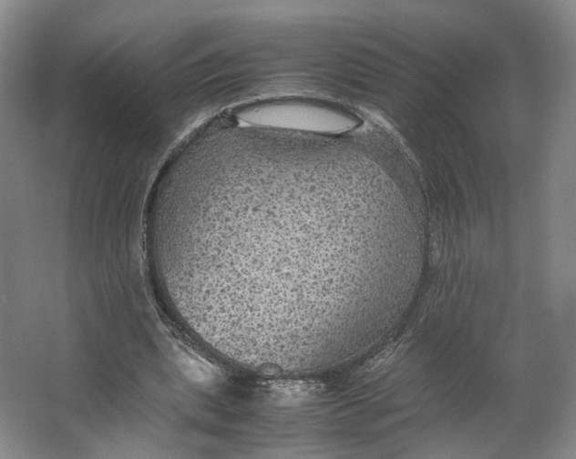 X0000063460439200602101718