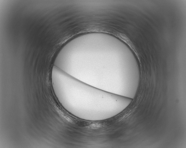 X0000063460441200602101718
