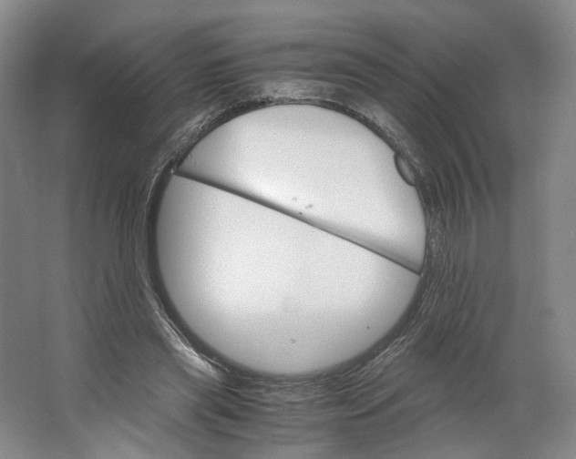 X0000063460445200602101719