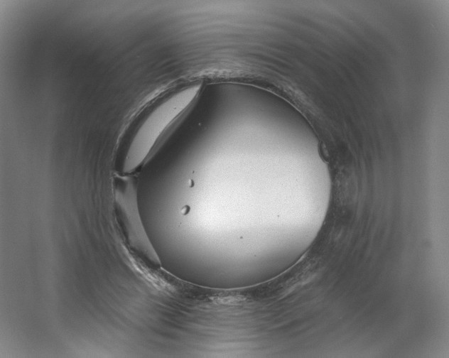X0000063460446200602101719