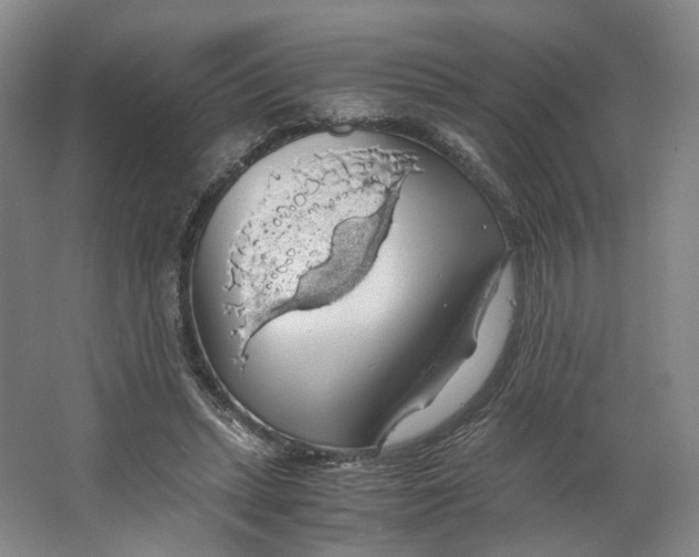 X0000063460447200602101719