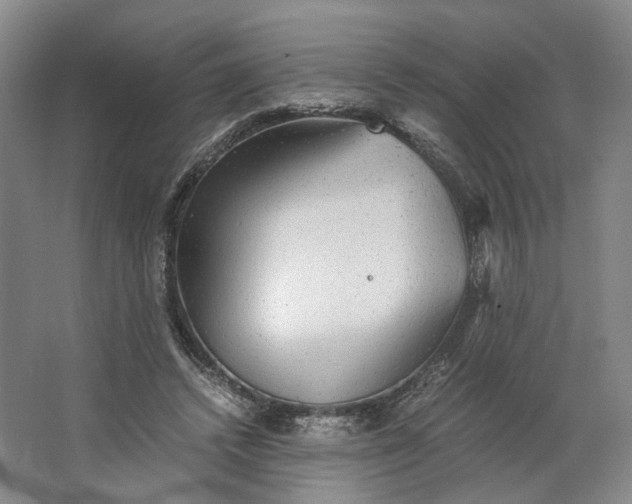 X0000063460448200602101719