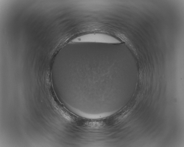 X0000063460449200602101719