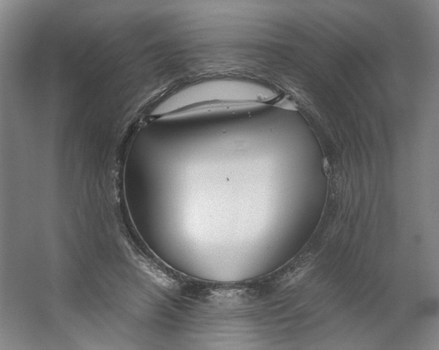 X0000063460450200602101719