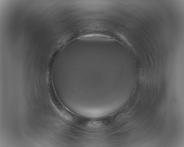 X0000063460451200602101719
