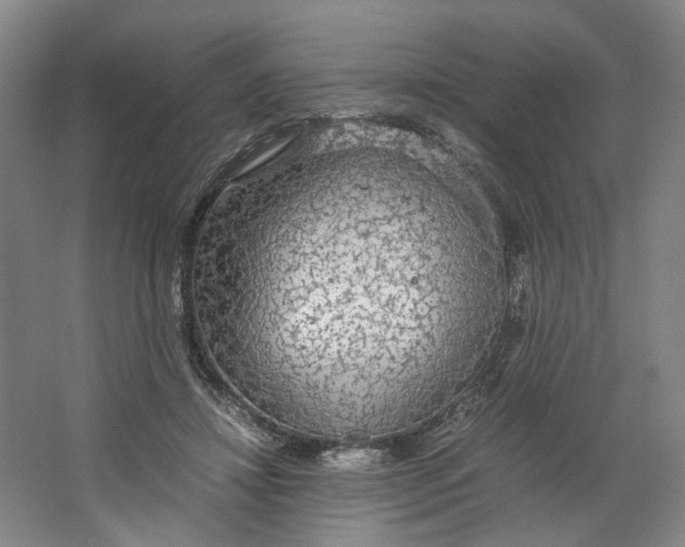 X0000063460452200602101719