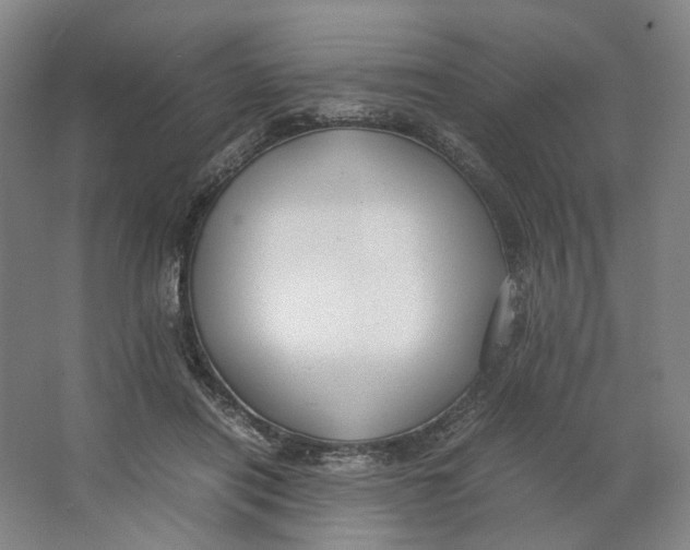 X0000063460454200602101719