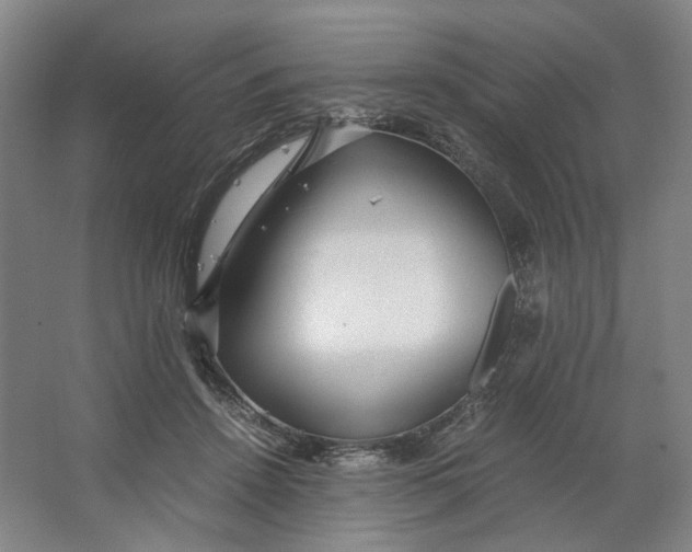 X0000063460456200602101719