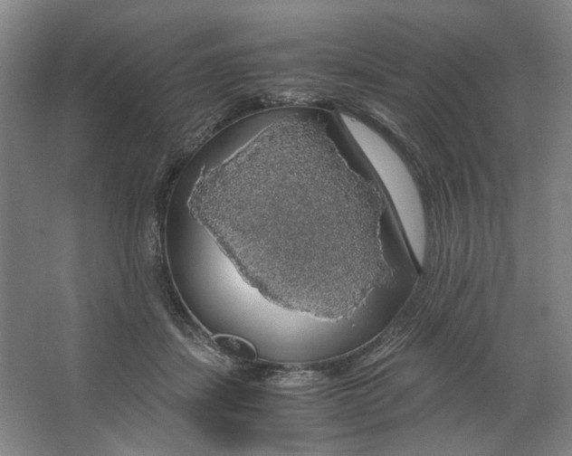 X0000063460459200602101719