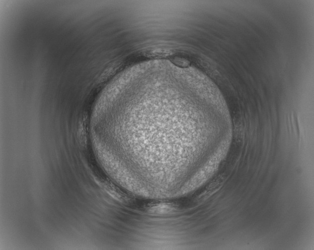 X0000063460460200602101719