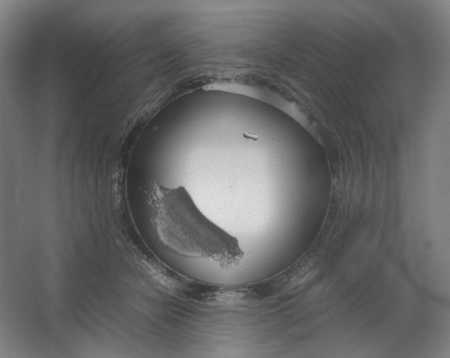 X0000063460462200602101719